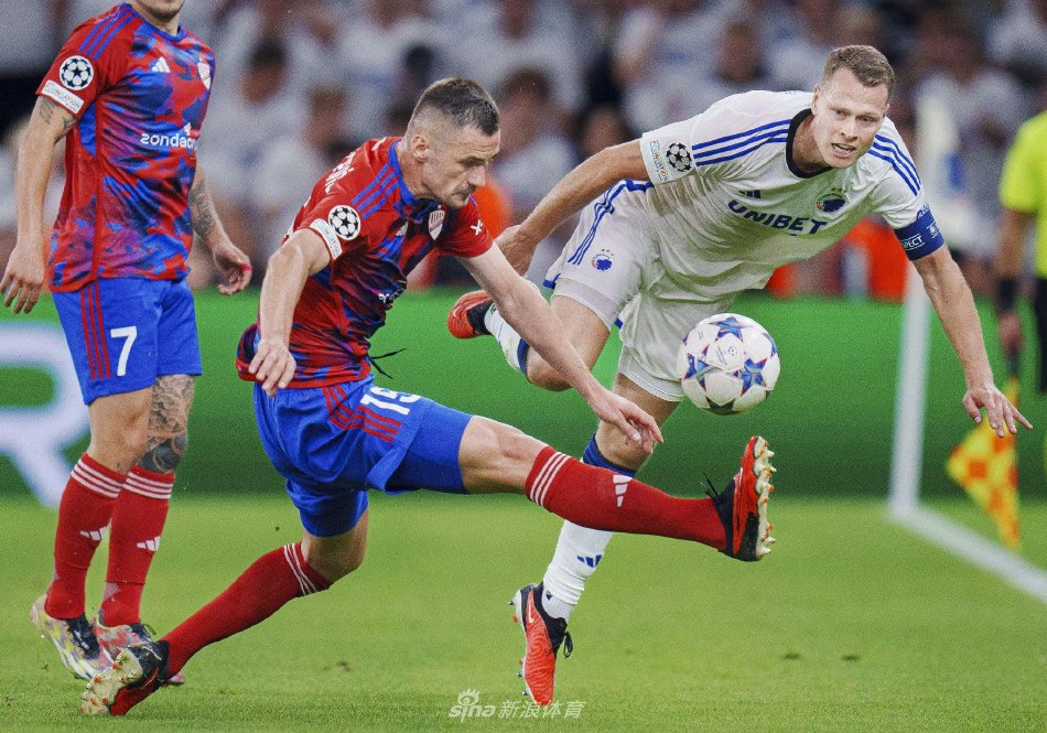 择了一条与 择了一条与